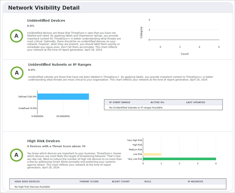 Screenshot of the Executive Summary Report, Network Visibility Details section