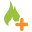Fireware Pro
