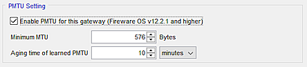 Screenshot of the PMTU bit setting in Policy Manager