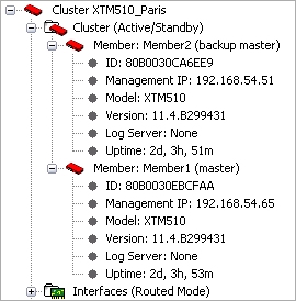 Screen shot of the FSM Front Panel FireCluster details