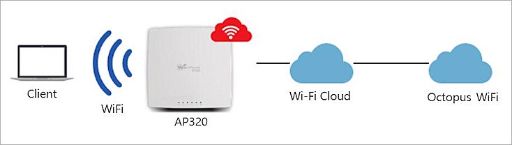 Diagram of the network flow for AP and octopuswifi