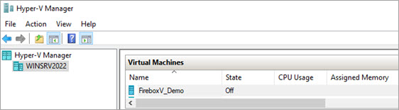 Screen shot of the Virtual Machines pane with a FireboxV virtual machine added