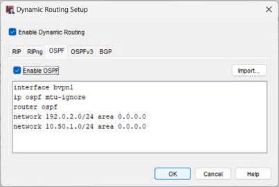 Screen shot of the Dynamic Routing Setup dialog box