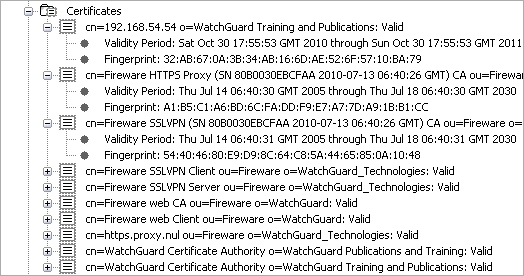 Screen shot of the FSM Front Panel, Certificates details