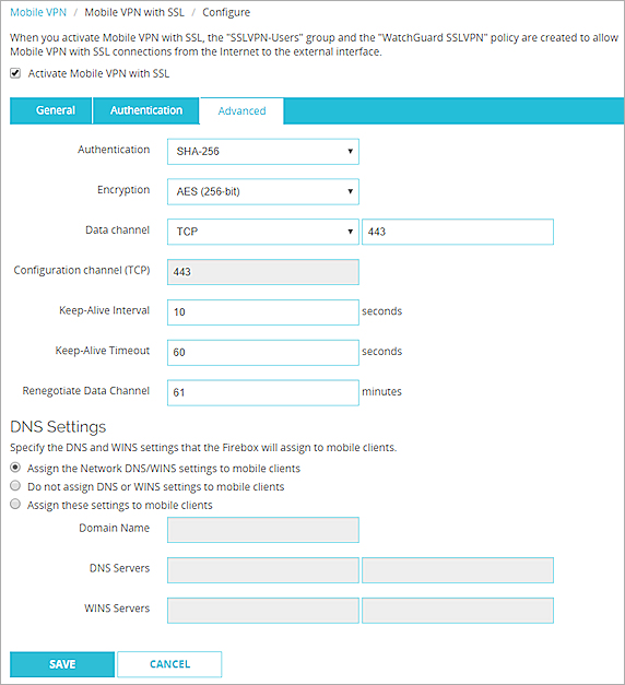 Screen shot of the DNS Settings