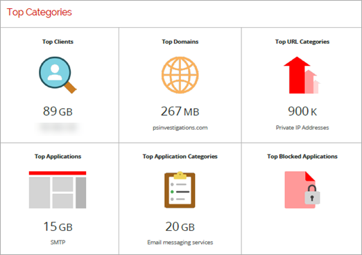 Top Categories section of the executive summary report