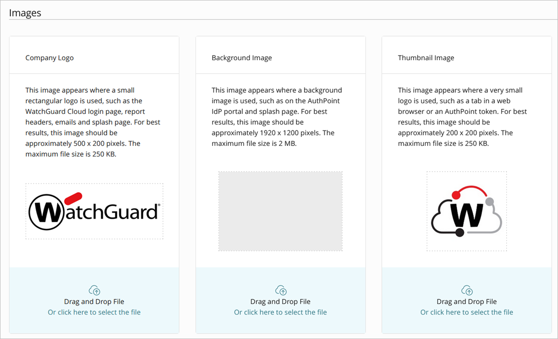 Screen shot of the WatchGuard Cloud Branding page