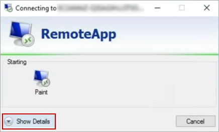 Screen shot of the Show Details option in the RemoteApp window.