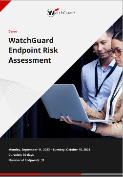 Screen shot of Endpoint Risk Assessment report - cover