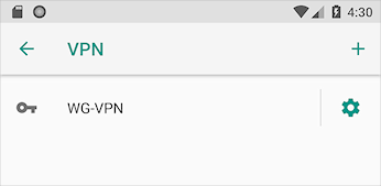 Screen shot of the list of VPN connections in Android