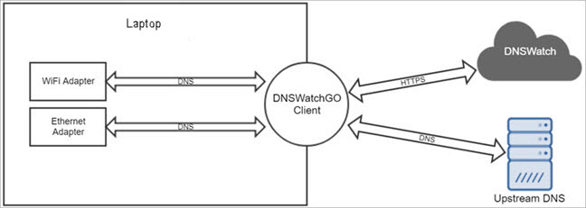 Proceso DNSWatchGO