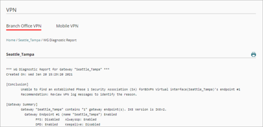Screen shot of the VPN diagnostic report