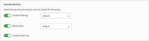 Screen shot of the Security Services settings for an Outbound policy