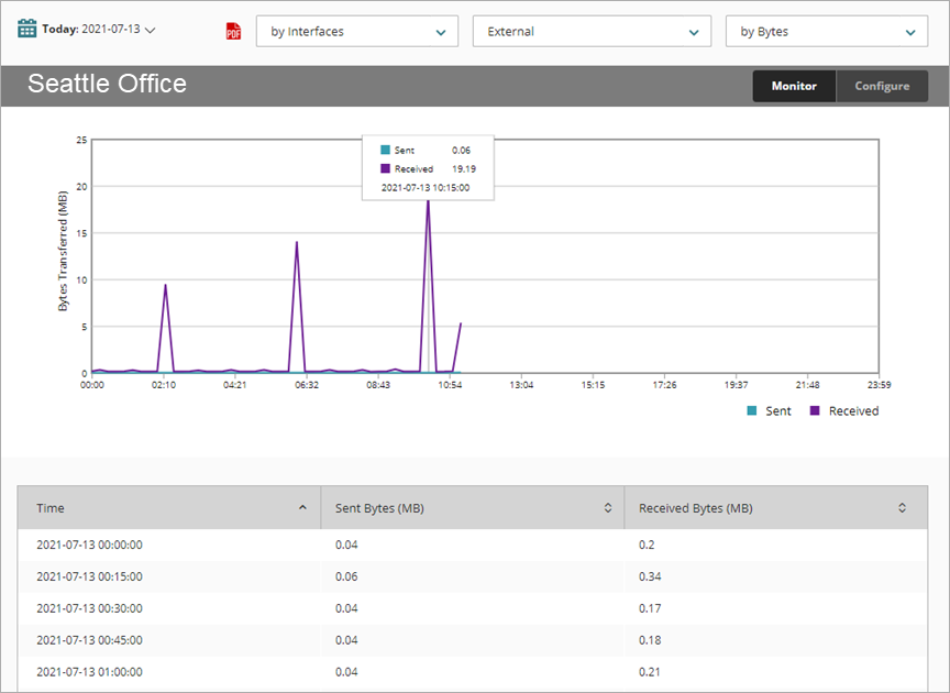 Screen shot of Interface Summary report