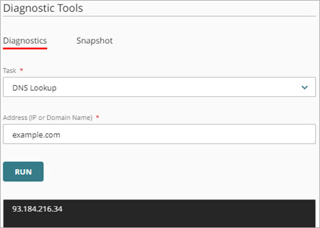 Screen shot of a DNS Lookup example