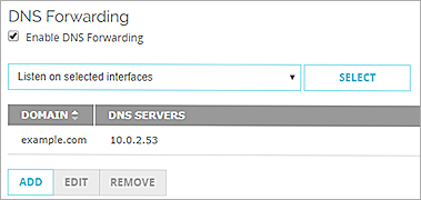 Capture d'écran des paramètres de transfert DNS