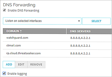 Capture d'écran des paramètres de transfert DNS