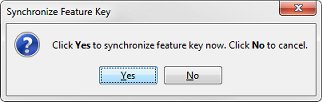 Capture d'écran de la boîte de dialogue Synchroniser la clé de fonctionnalité dans FSM