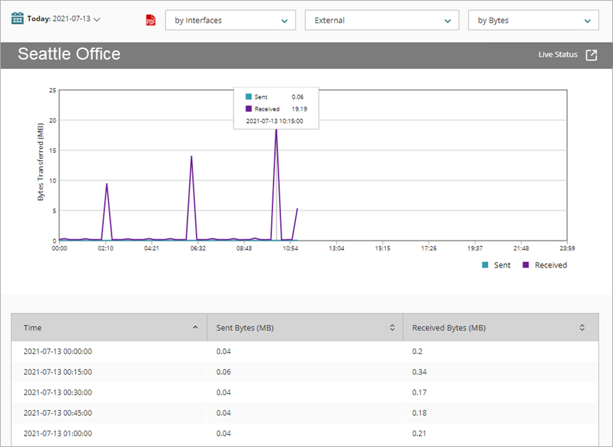 Screen shot of Interface Summary report