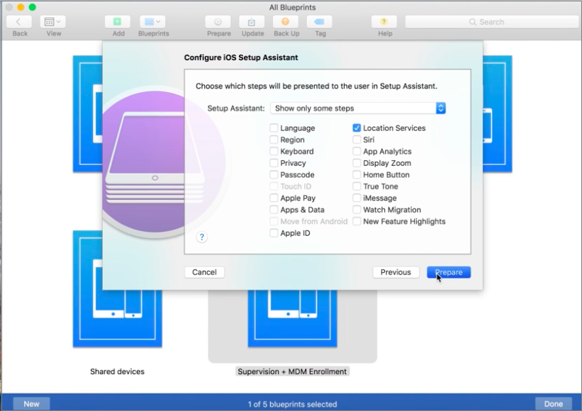 Screen shot of Choose iOS Setup Assistant dialog box. 