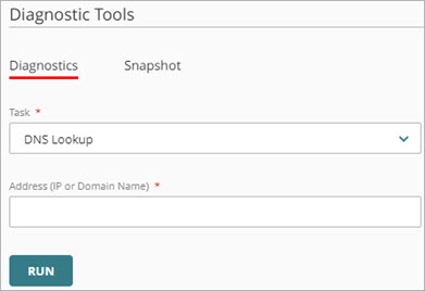 Screen shot of the DNS Lookup settings