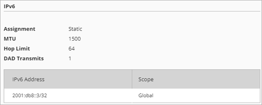 Screen shot of the IPv6 section on the Network Details page