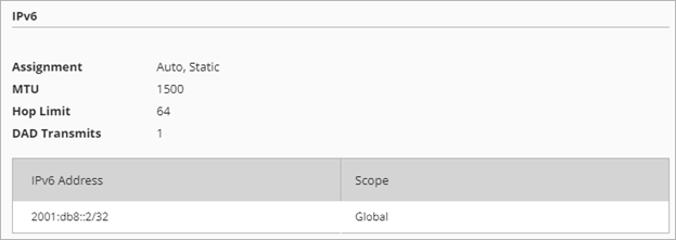 Screen shot of the IPv6 section on the Network Details page