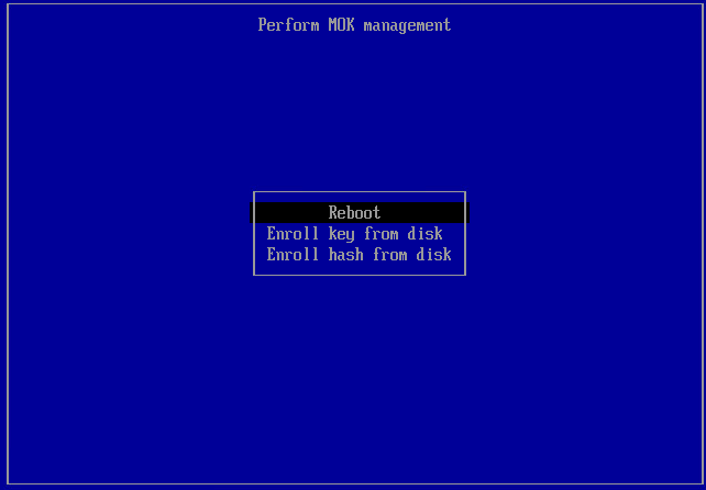 Screen shot of Reboot option. 