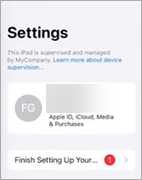 Screen shot of Apple Settings page. 