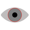 Gray eye icon
