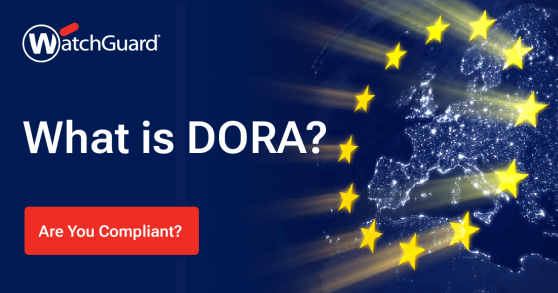 DORA_2024_whitepaper_What_Is_Dora