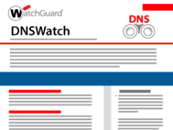 Thumbnail: DNSWatch Datasheet