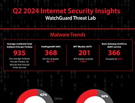 Internet Security Insights Q2 2024